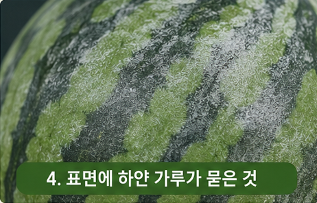 표면 하얀가루