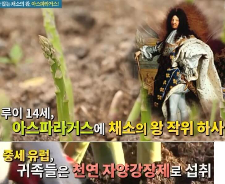 아스파라거스-역사