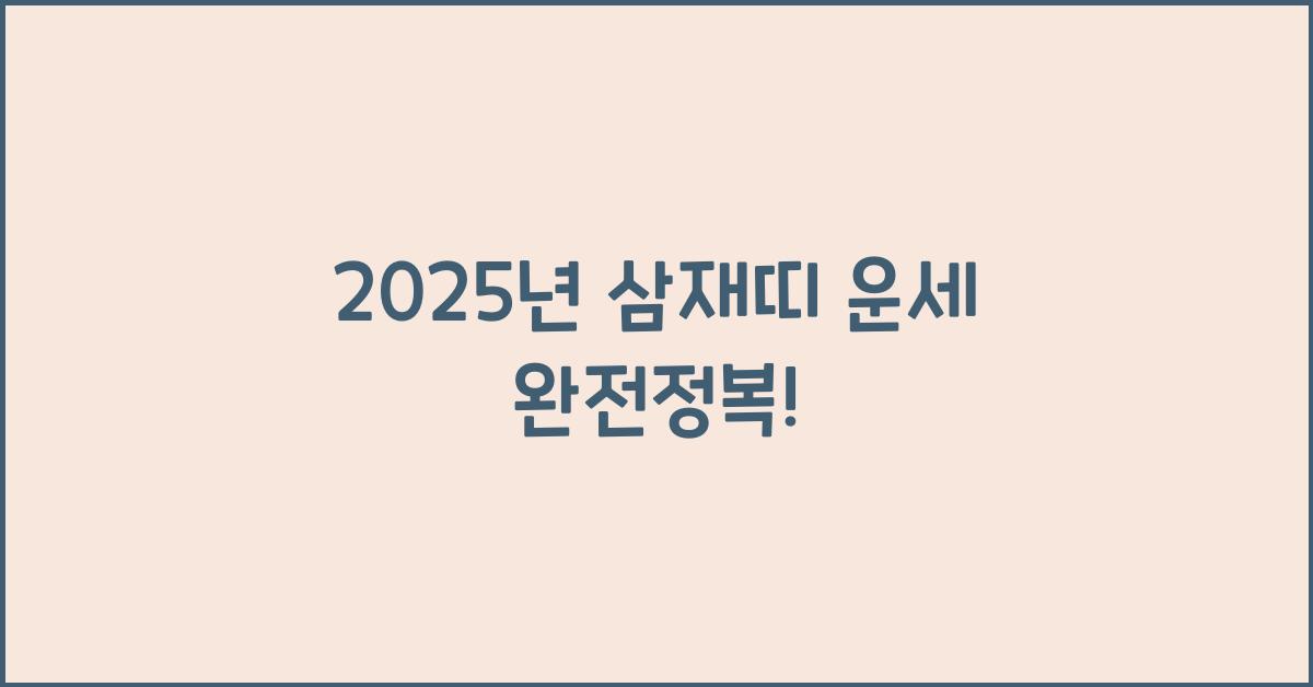 2025년 삼재띠