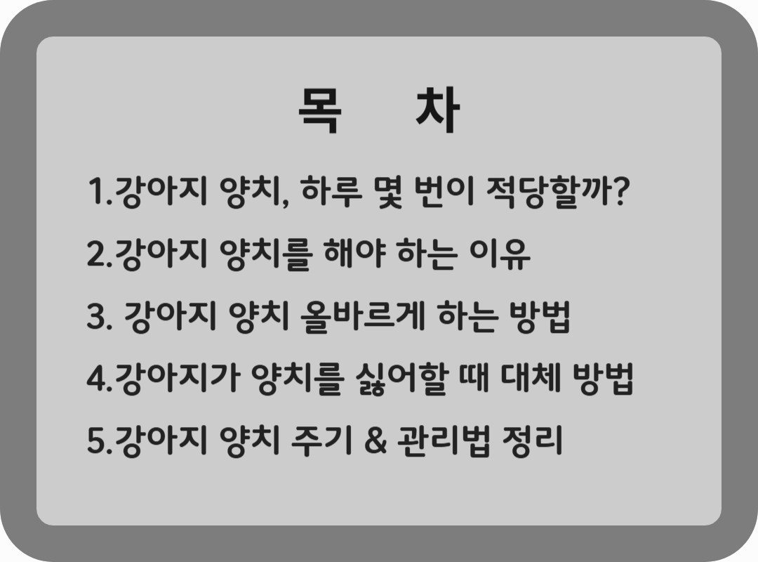 강아지 양치, 하루 몇 번이 적당할까?