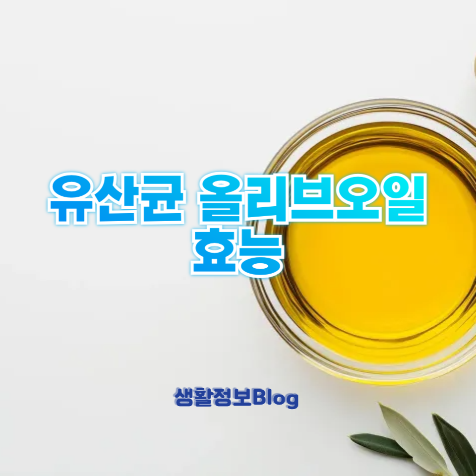 유산균 올리브오일 효능