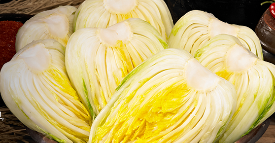 절임배추 판매 사전예약 가격 비교 추천 