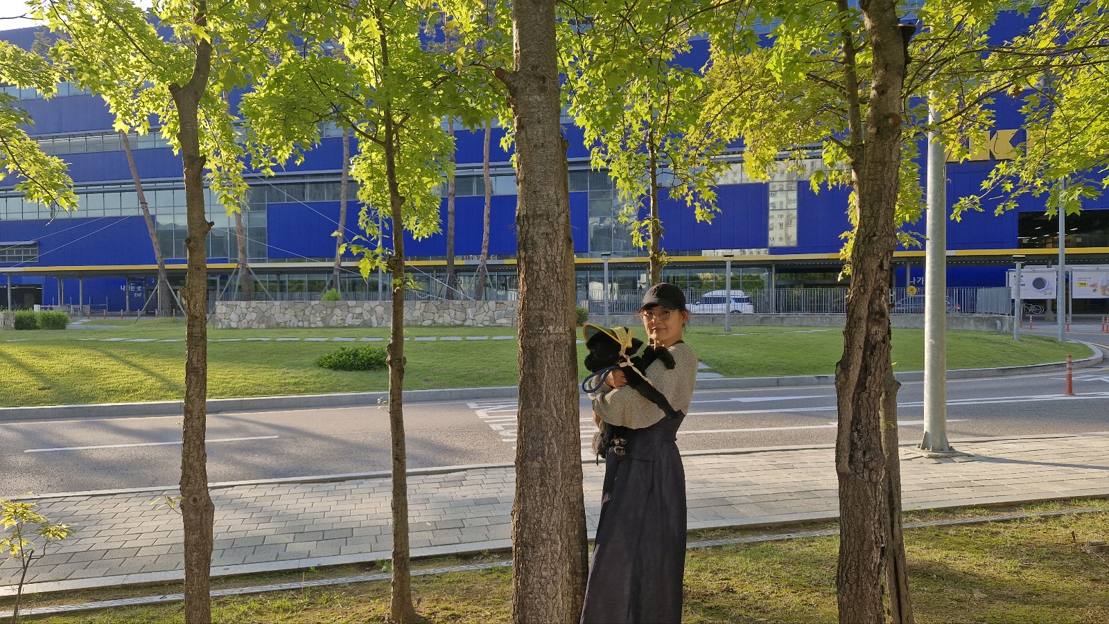 강아지 배개 배고 자는이유 5가지