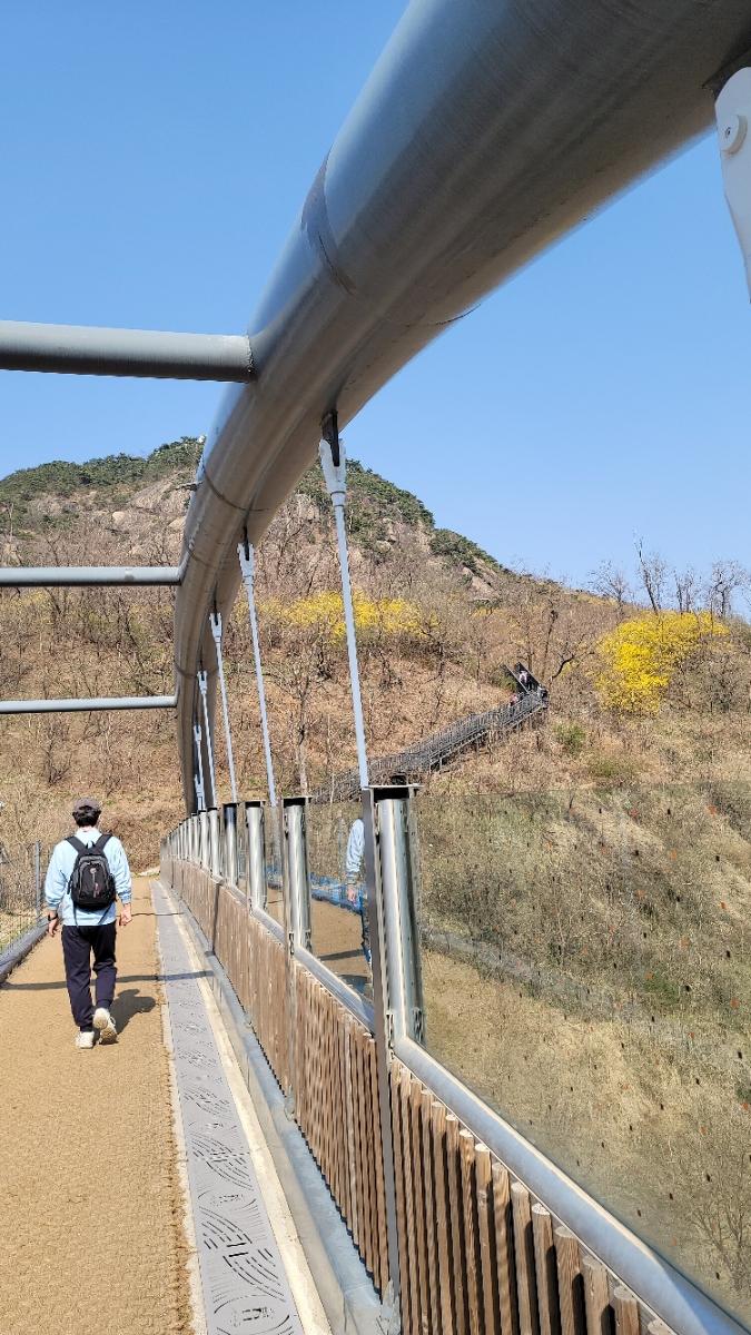 인왕산으로 이어지는 무악재 하늘다리 사진