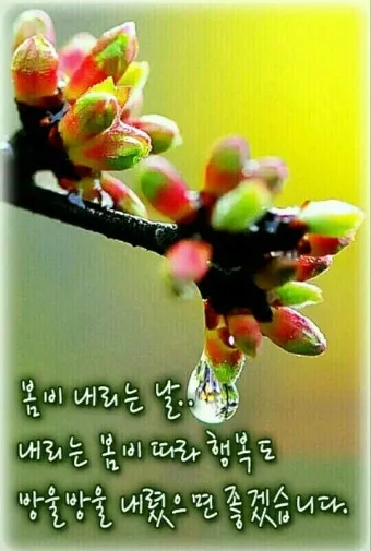 봄비 인사말 이미지 비오는날 일러스트_6