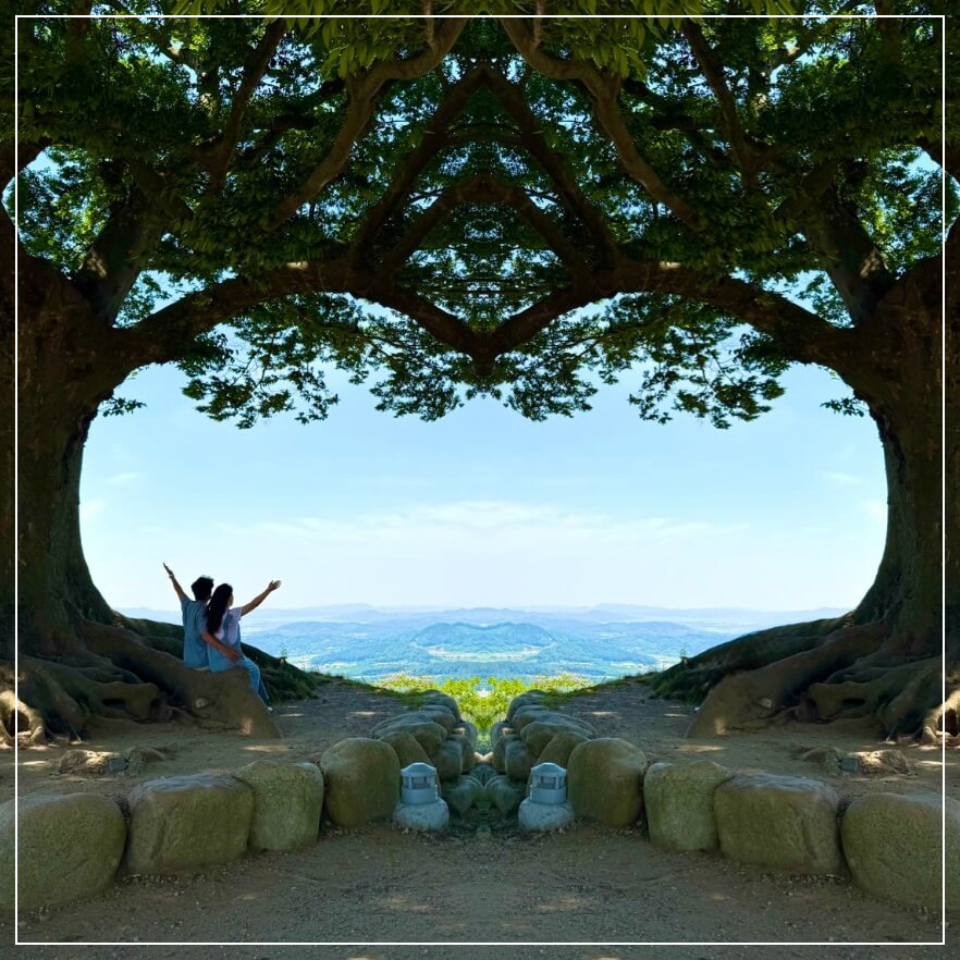 부여 가볼만한곳 베스트10 성흥산 사랑나무