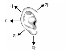 요양보호사 기출문제