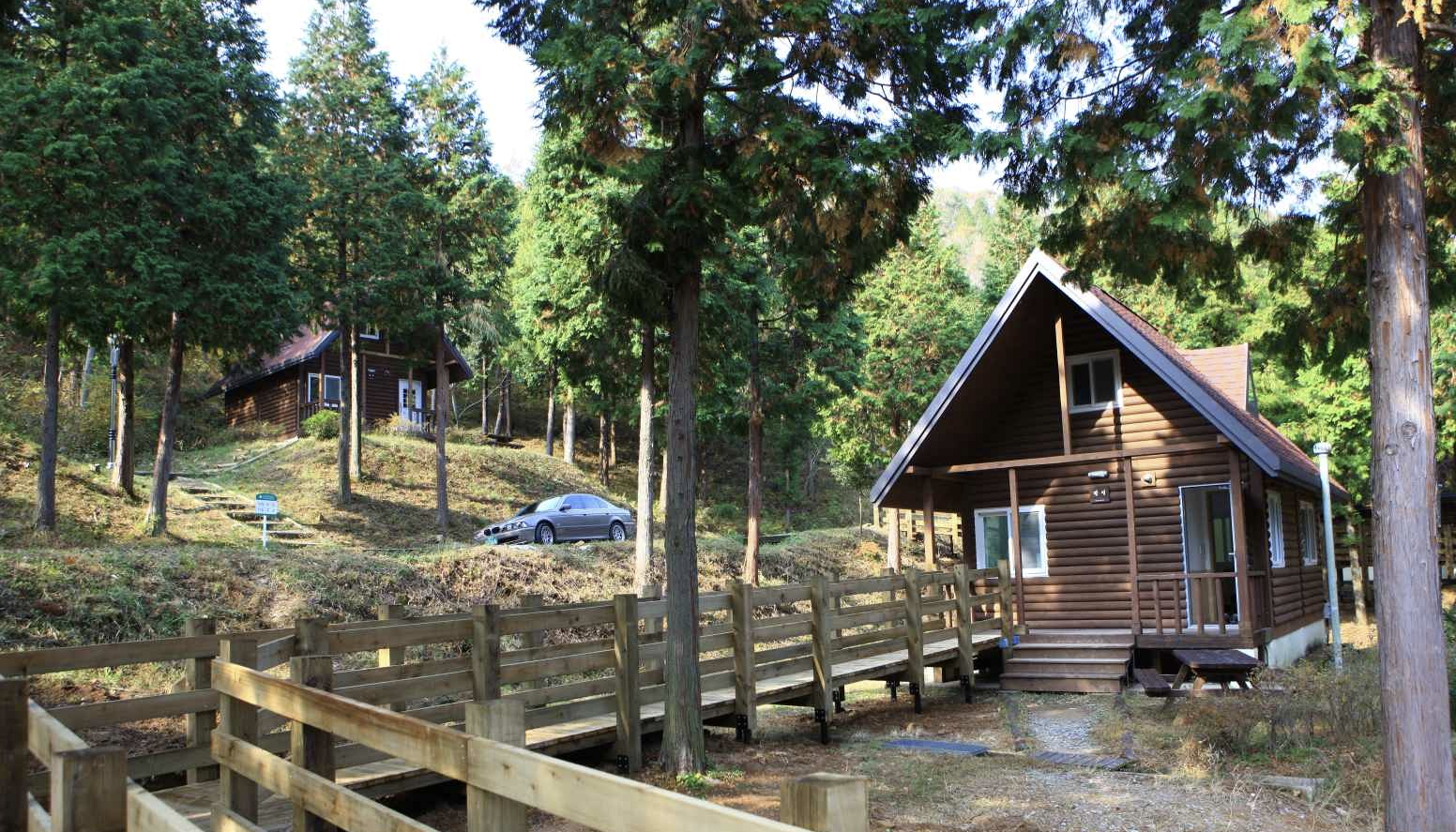 남해편백자연휴양림 전경