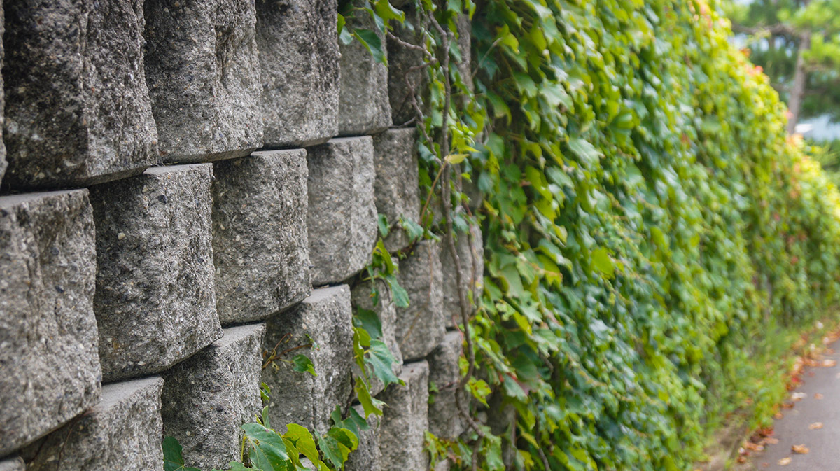 남해 독일마을 원예예술촌