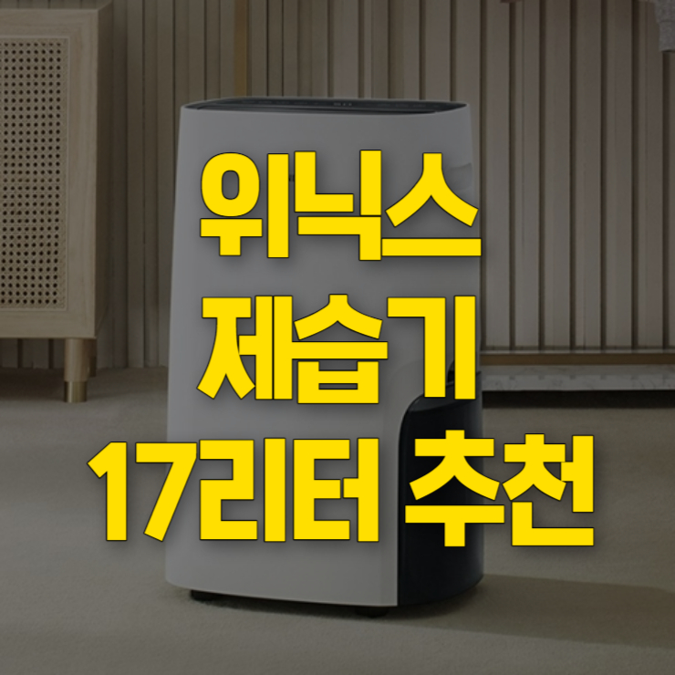 위닉스 제습기 17리터 추천 썸네일