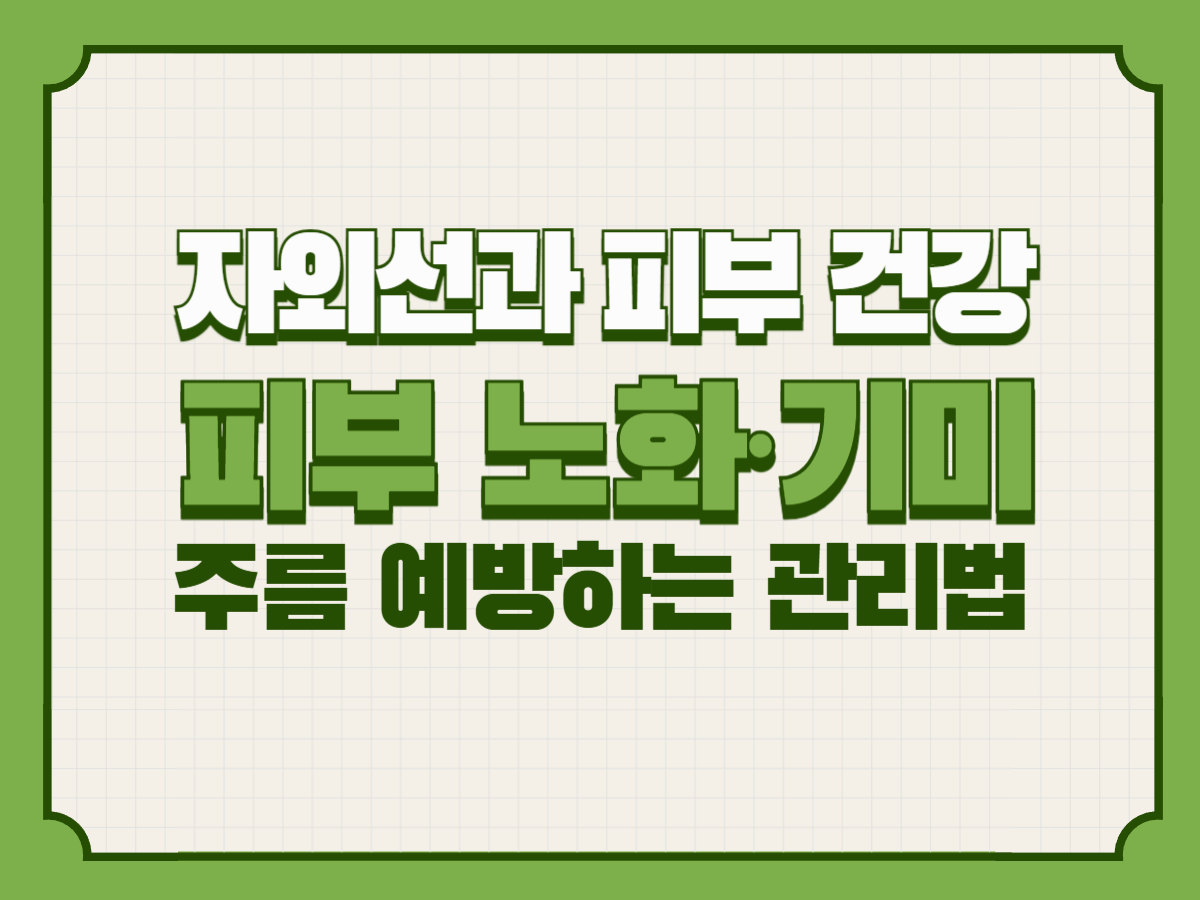 자외선과 피부 건강|피부 노화·기미·주름 예방하는 관리법