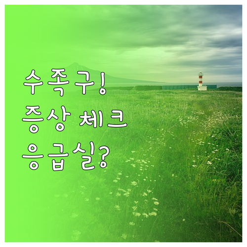 수족구 의심 증상 체크리스트와 은평구..