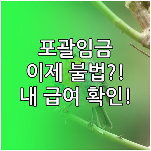 포괄임금제 이제 불법 근로시간 기록 ..