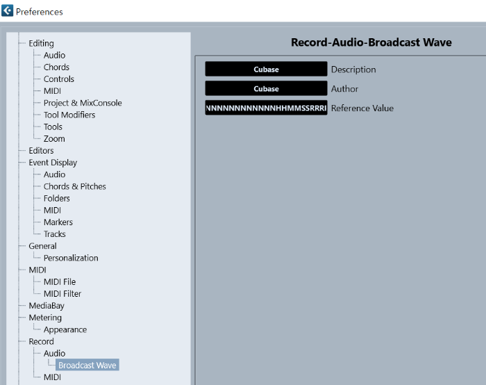Record - Audio - Broadcast Wave