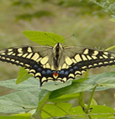 봄 축제 가볼만한 곳