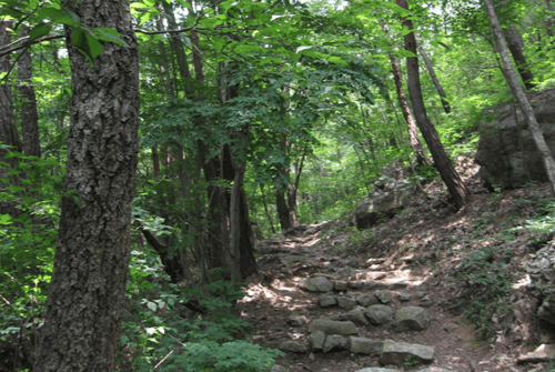 변산반도우금암28