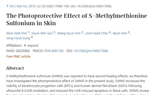 피부보호효과 논문