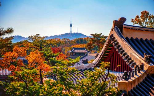 서울시 장애인 치과비용지원 7