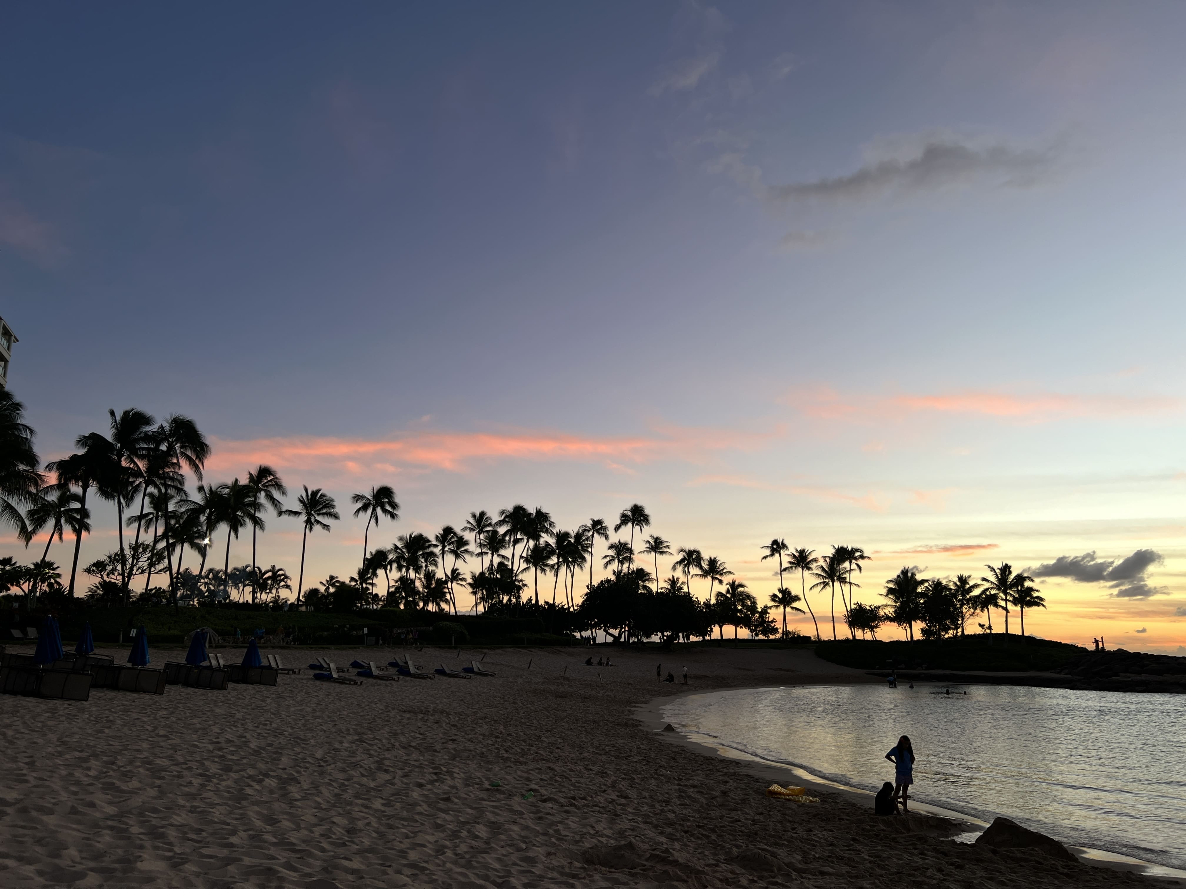 크리스마스-하와이여행-메리어트 코 올리나 비치 클럽