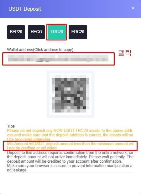 USDT 입금시 나타나는 화면