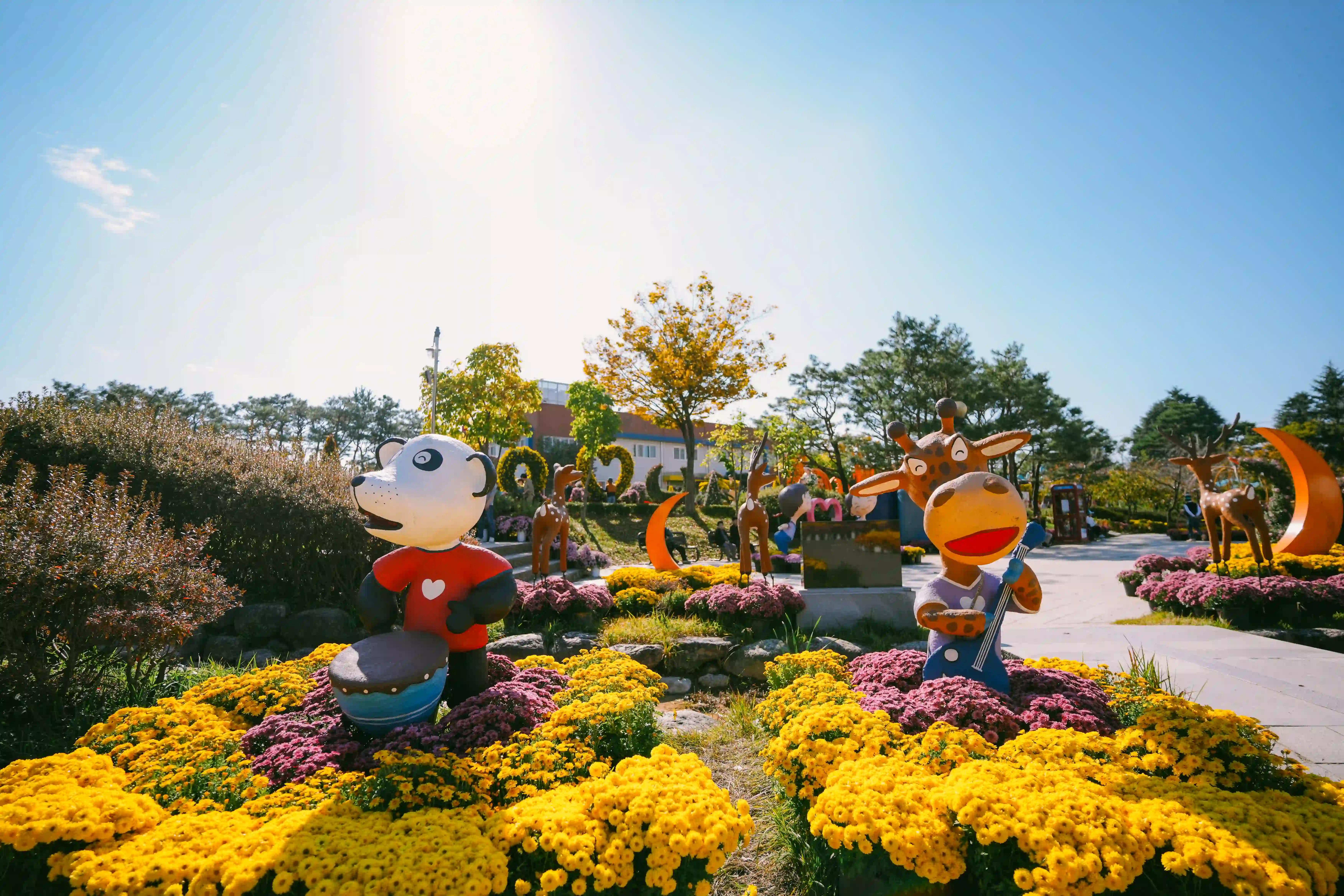 국화 분재 특별전시