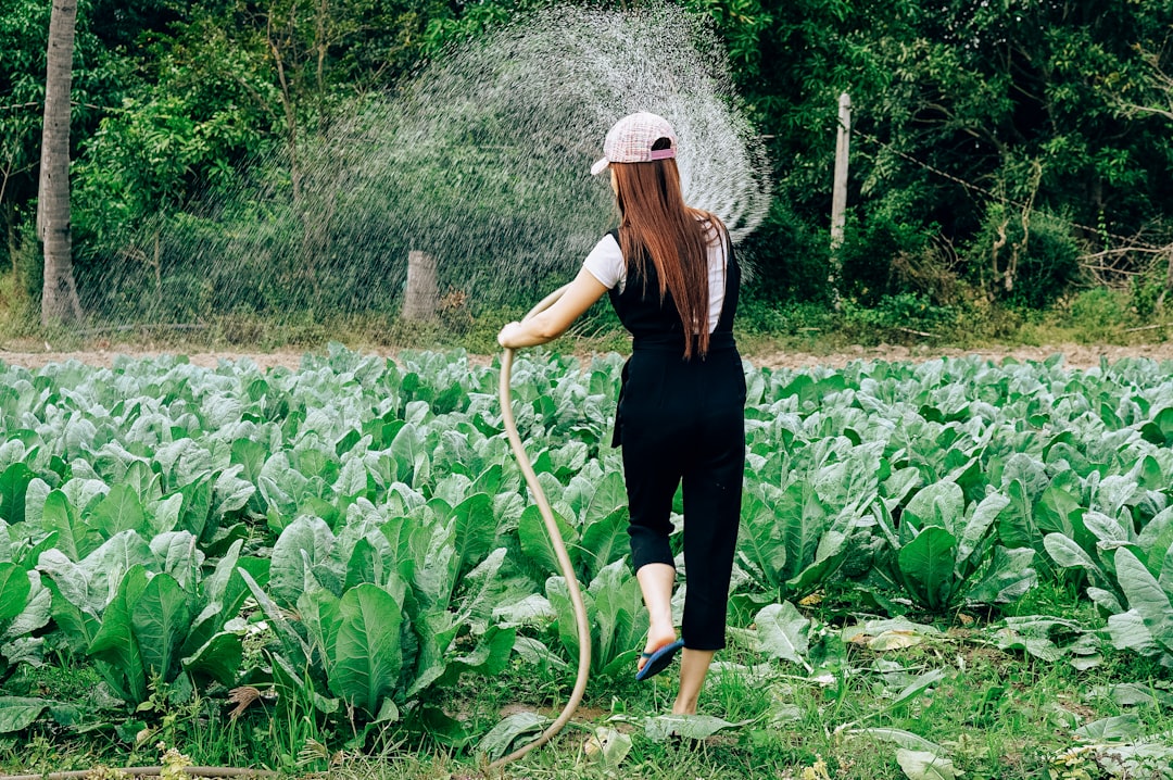Farmers