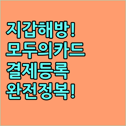 지갑 없는 점심시간 모두의카드 등록 ..