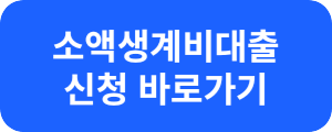 소액 생계비 대출