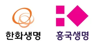 2025 2026 시즌 흥국생명 배구단 선수 명단 및 연봉 계약 FA 외국인 선수 정보 로스터 분석_47