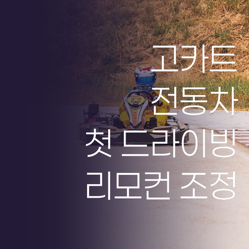 고카트 전동차, 우리 아이 첫 드라이..