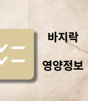 바지락 영양 정보