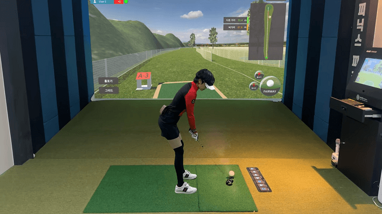 피닉스 실내 스크린 파크골프