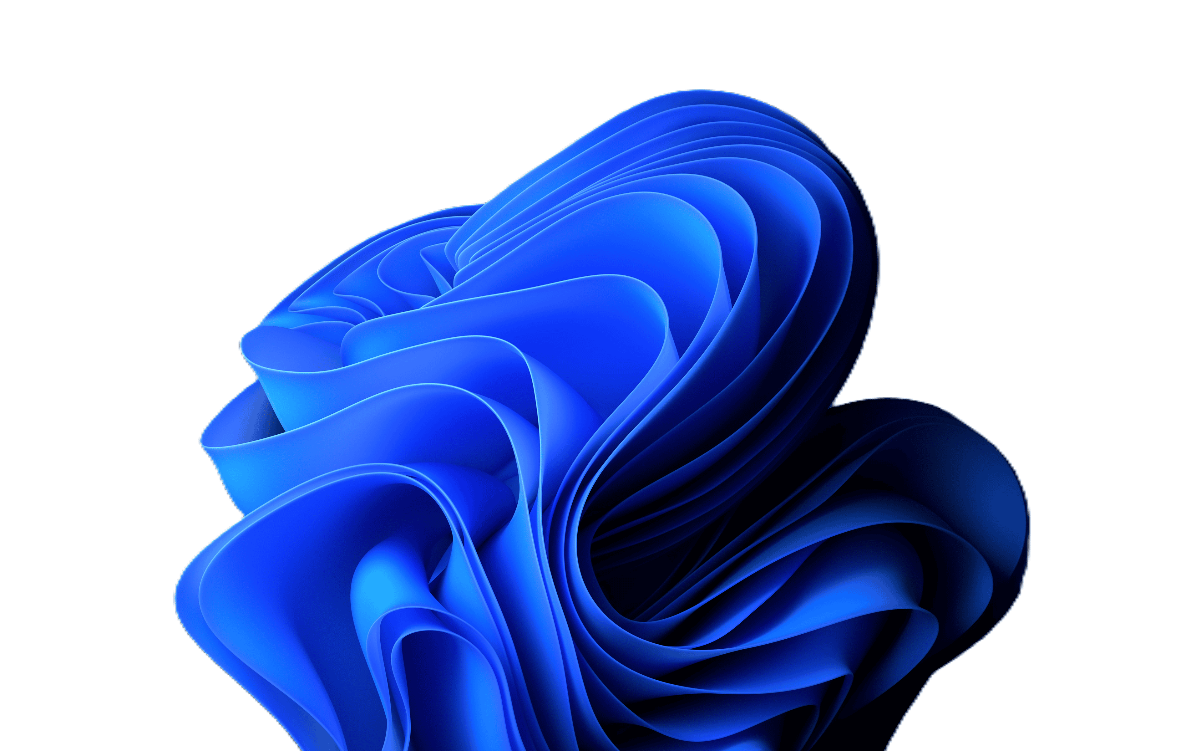 윈도우11_그림판으로_사진배경지우기_7