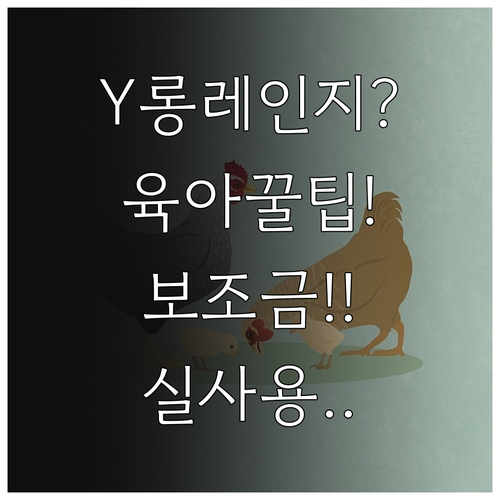 테슬라 모델Y 롱레인지 실제 육아 가..
