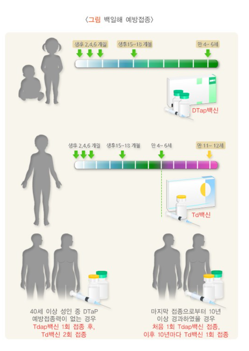 백일해 예방접종