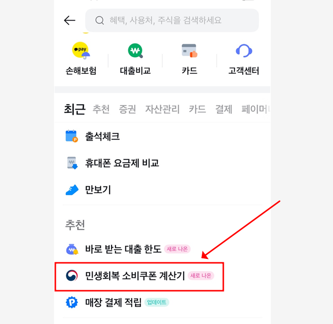 카카오페이 민생회복 소비쿠폰 계산기