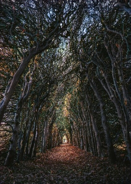 palette 사용방법