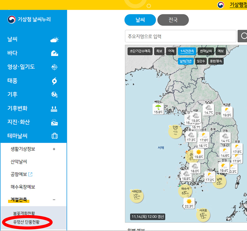 유명산 단풍 현황 단풍 절정시기
