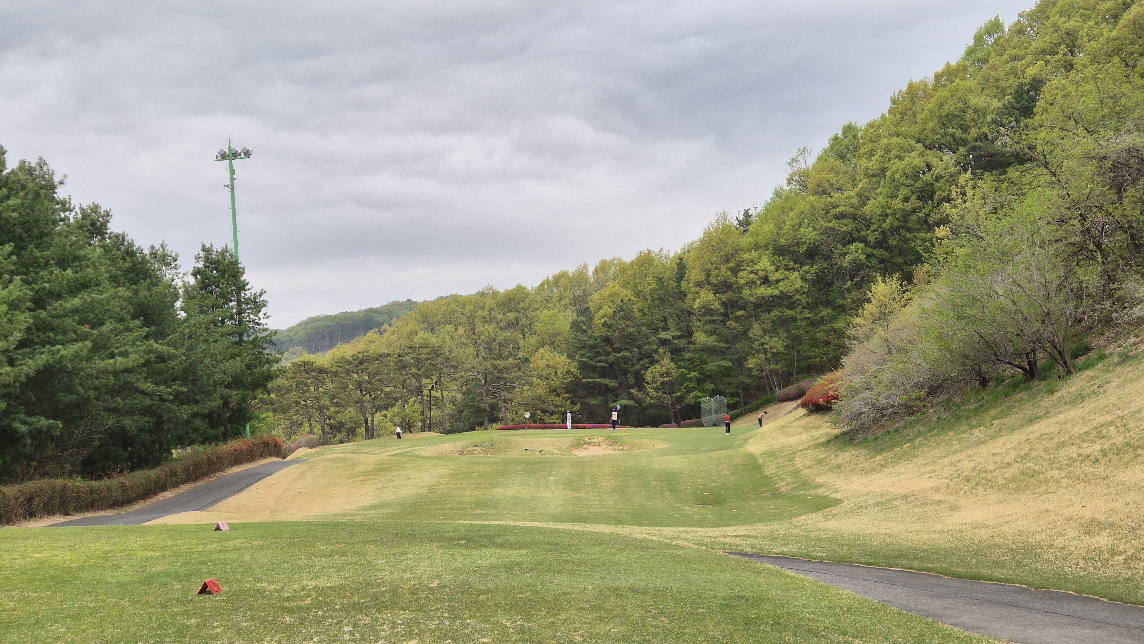 시그너스cc 코튼-라미 코스 사진 및 공략 정보