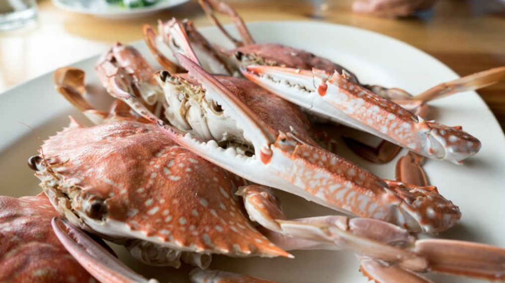남녀노소 꽃게의 담백하고 달큰한 맛을 오롯이 느끼고 싶다면 꽃게찜 강추