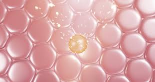 콜라겐의 부작용 및 주의사항