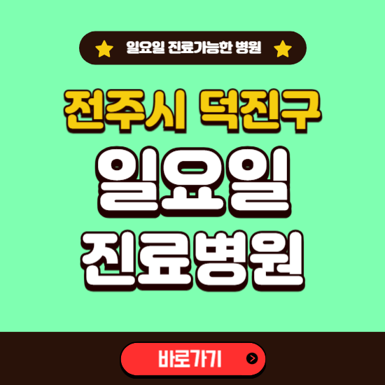 전주시 덕진구 일요일 진료 가능한 병원 ❘ 주말 문여는 곳 총정리 (소아과, 내과, 안과, 치과, 피부과, 정형외과, 산부인과)