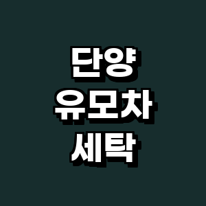 단양군 유모차 세탁