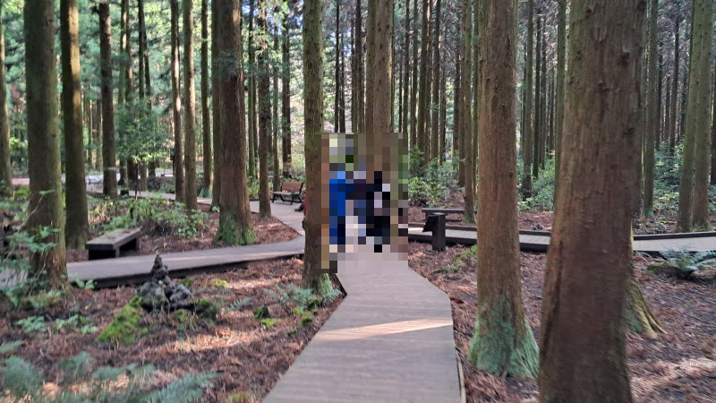 제주_사려니숲길