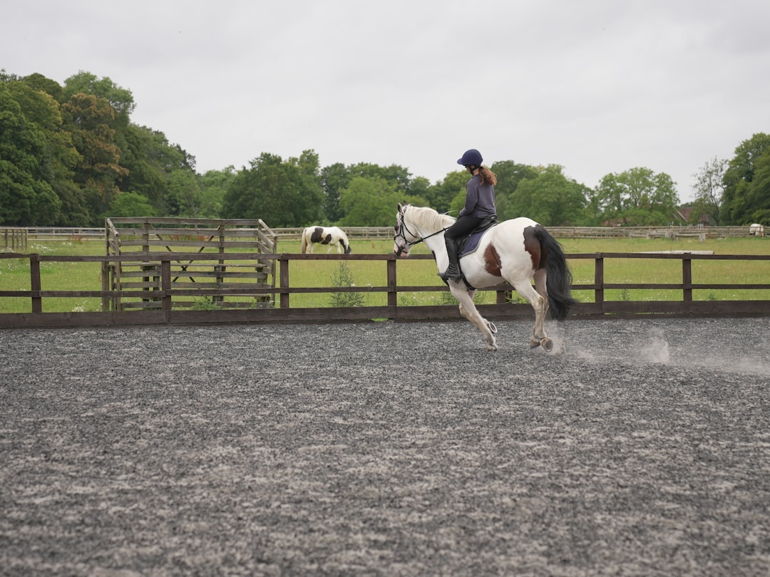 Trot.