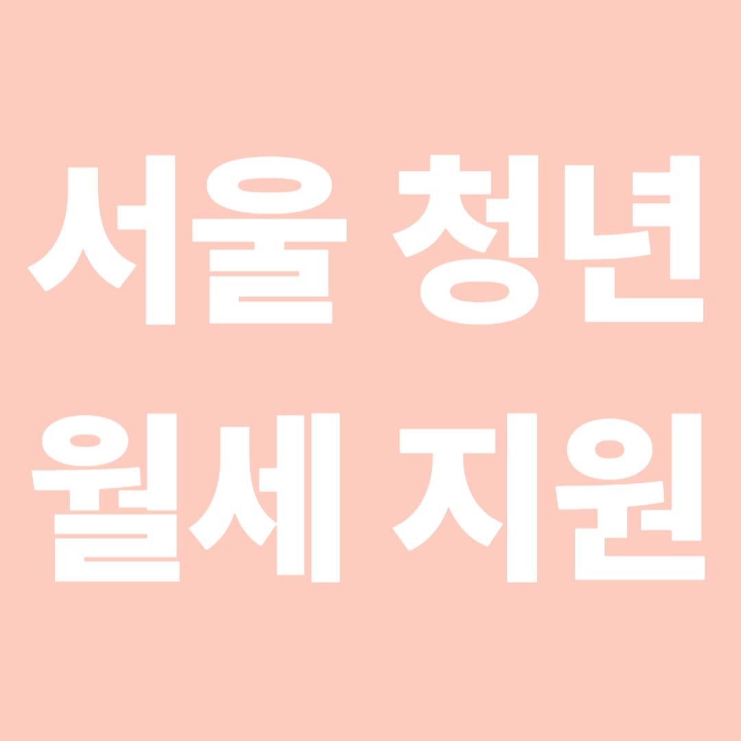 서울시 청년월세지원