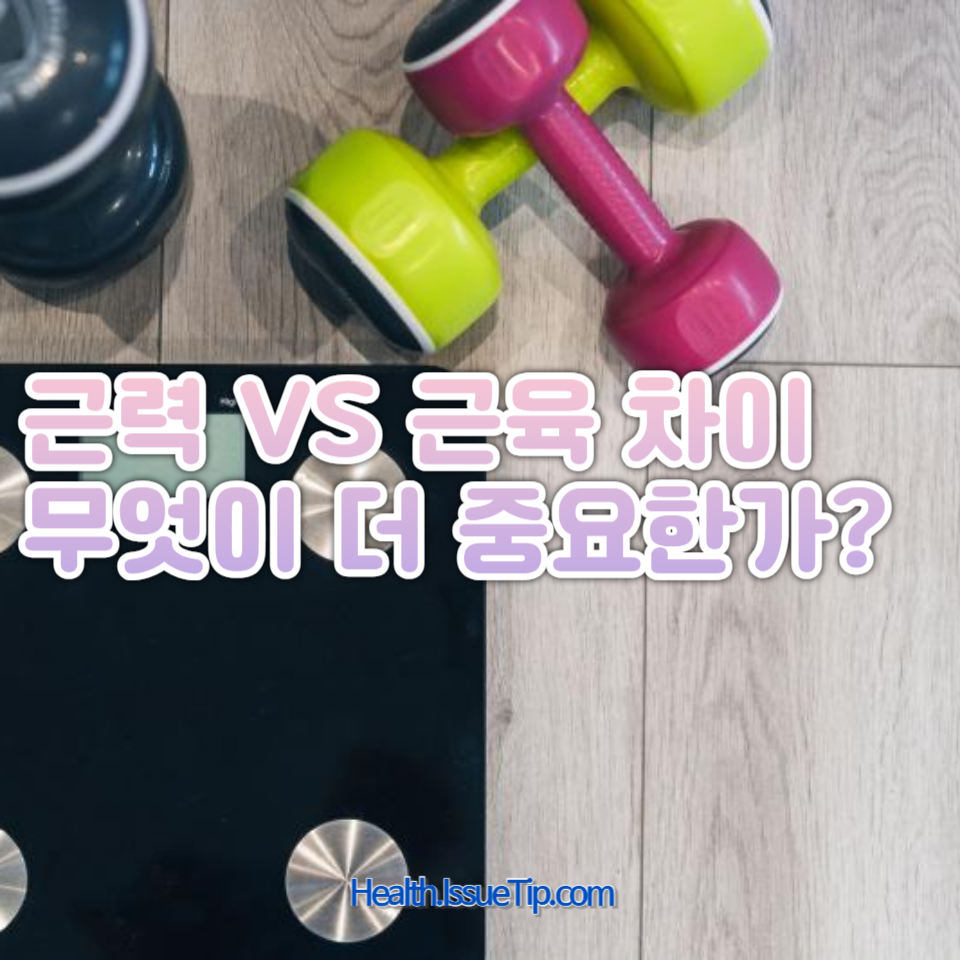 근력과 근육의 차이를 이해하고, 각각의 중요성