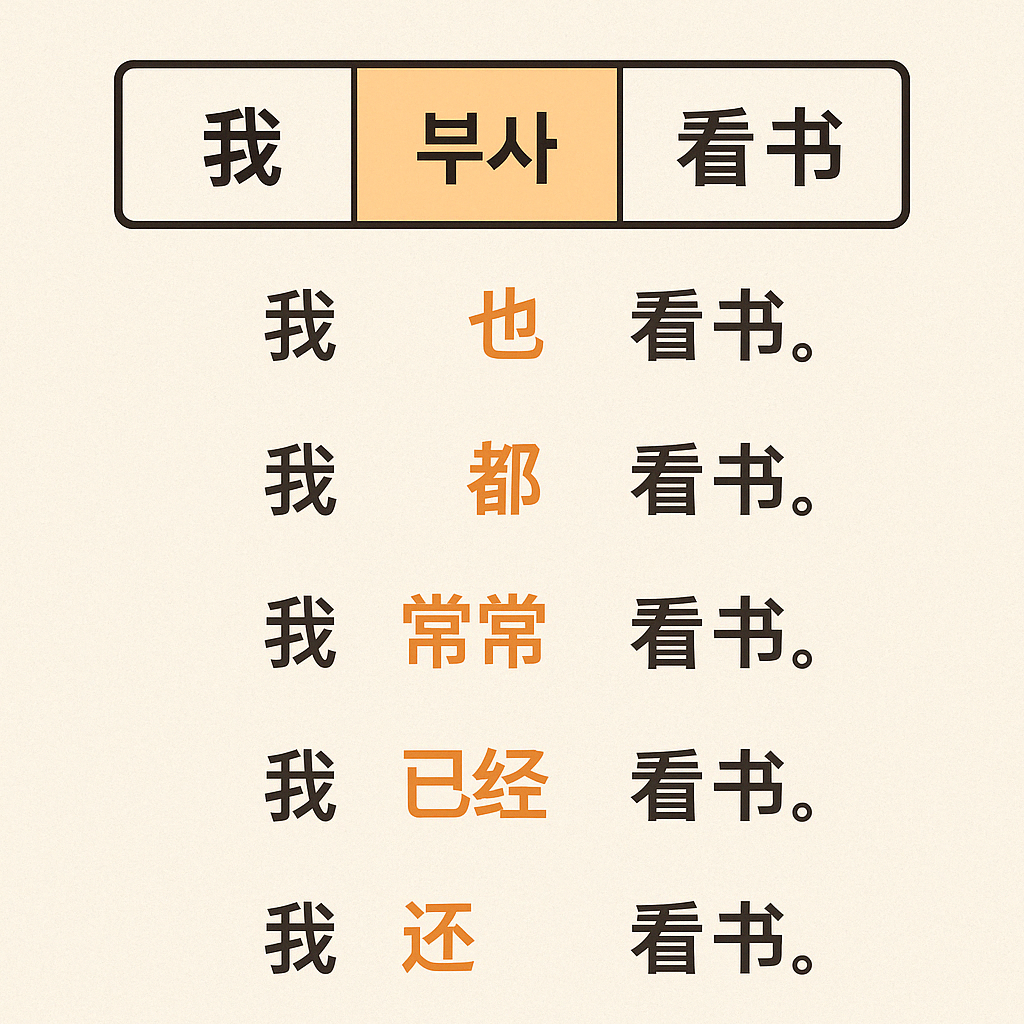 중국어 부사의 위치와 쓰임