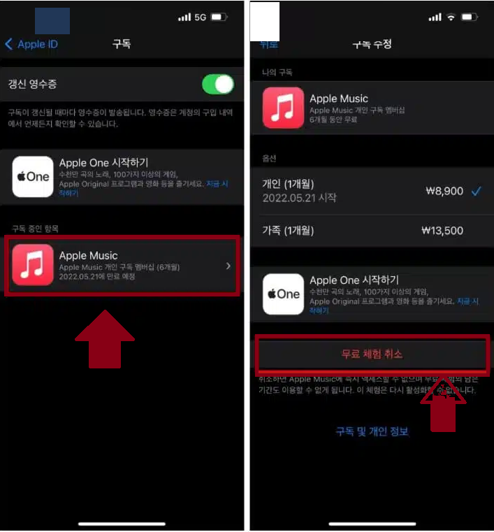 애플 뮤직 6개월 무료 해지방법