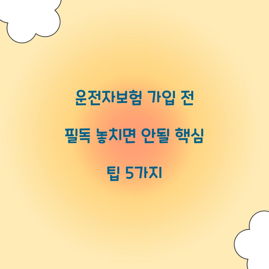 운전자보험 가입 전 필독